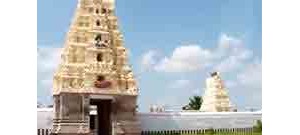 247. திருமாற்பேறு